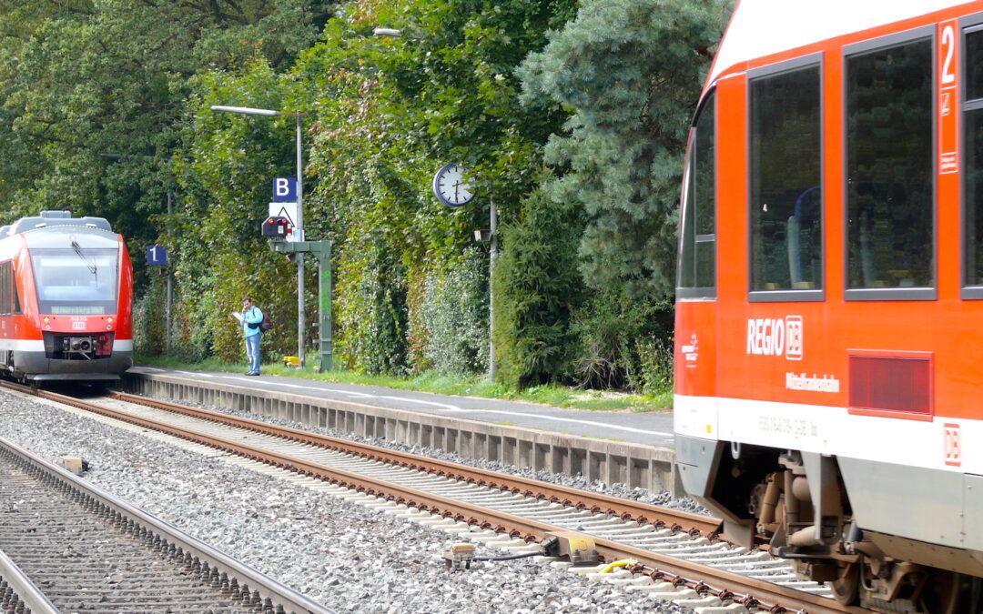 Flügeln in Rekordzeit – so gelingt’s in unter 2 Minuten